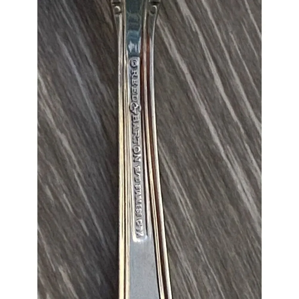 Reed & Barton RENAISSANCE Stainless Flatware 18/10 Silverware SERVING SPOON
